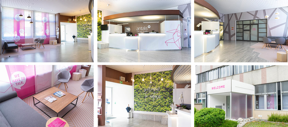 Nachher_Collage_1000x445.jpg