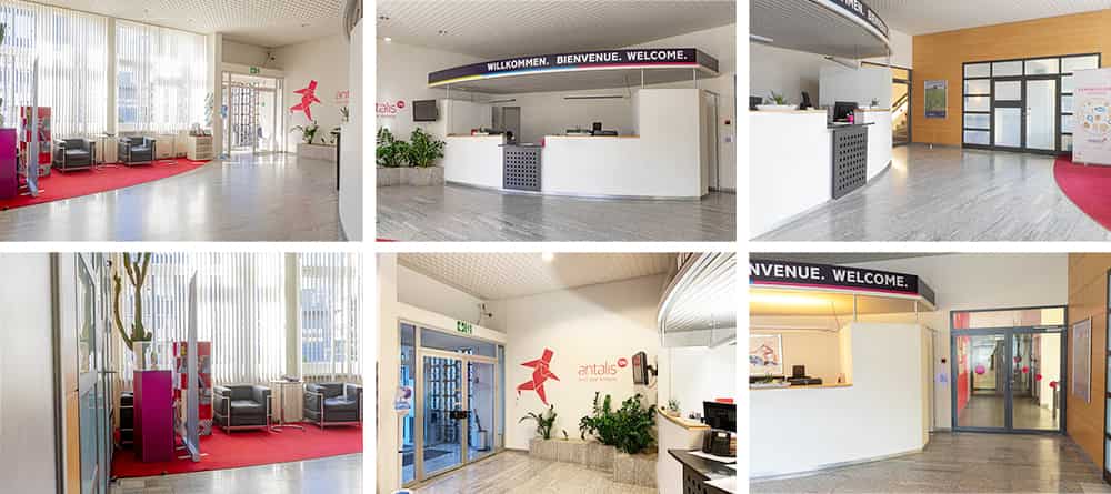 Vorher Collage_1000x445.jpg