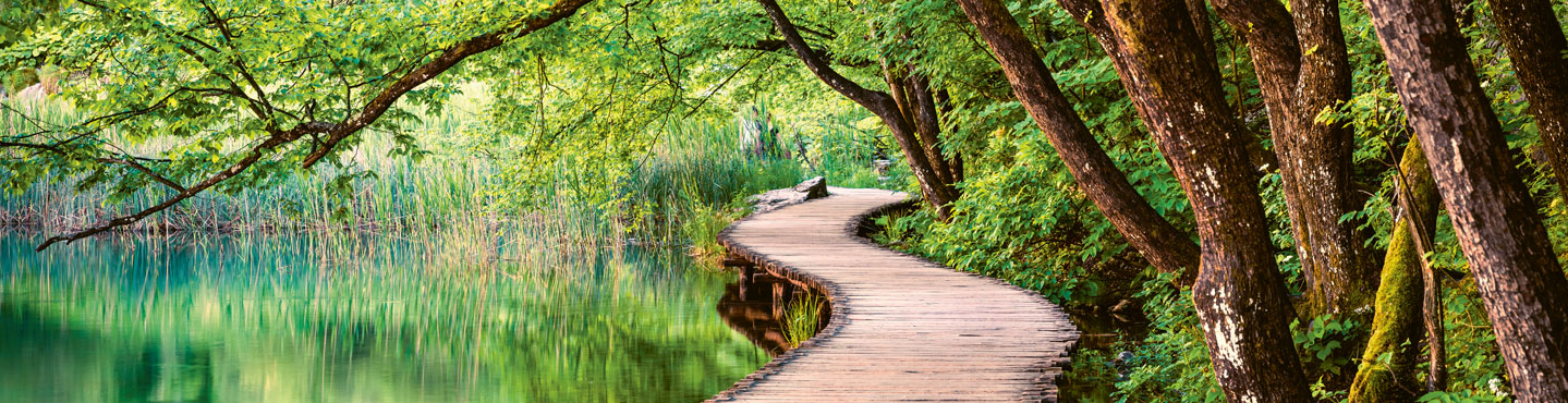 Eco-Line-Nachhaltigkeits - Web-Banner.jpg (1093110112)
