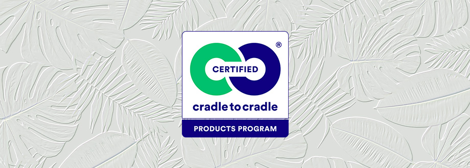 C2C-header.jpg