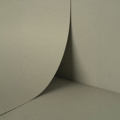 Keaykolour Lichen 300g/m2 700x1000 BE