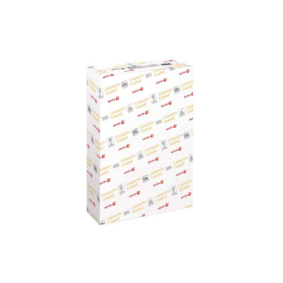 Xerox Colotech+ Silk blanc 250g/m2 450x320 003R91641 BL