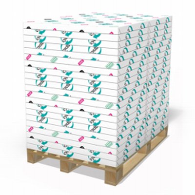 Cyclus Silk blanc enramé 100g/m2 720x1020 BE