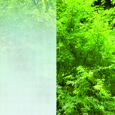 3M Fasara