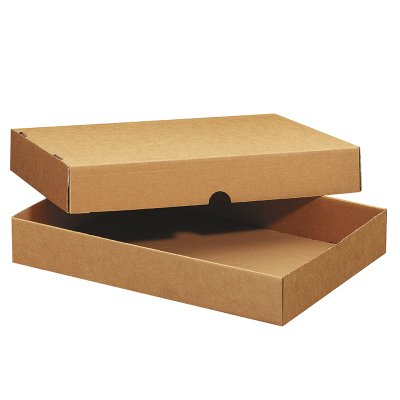 Formatschachtel Master'in Access, 301 x 230 x 100 mm | Antalis CH