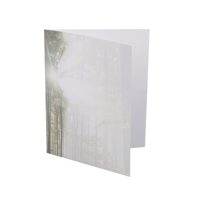 Feuille deuil Lumière ouvert