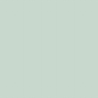 Coala Interior film SOLID COLOR NE54 - Clean Mint 1220 mm