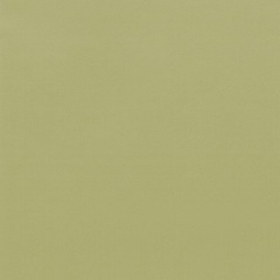 Coala Interior film SOLID COLOR RM19 - Light Olive Grain 1220 mm