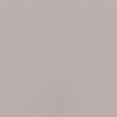 Coala Interior film SOLID COLOR RM27 - Light Grey 1220 mm
