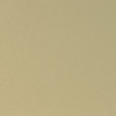 Curious Metallics Champagne 300g/m2 720x1020 BE