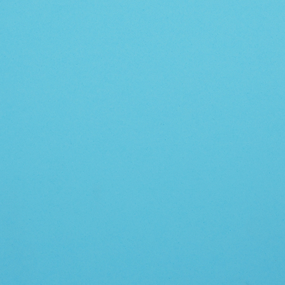 Carton Faucon bleu claire