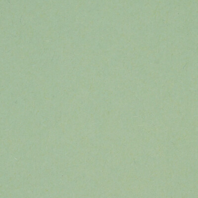 Carton Faucon  vert  450g/m2 750x1050 BE