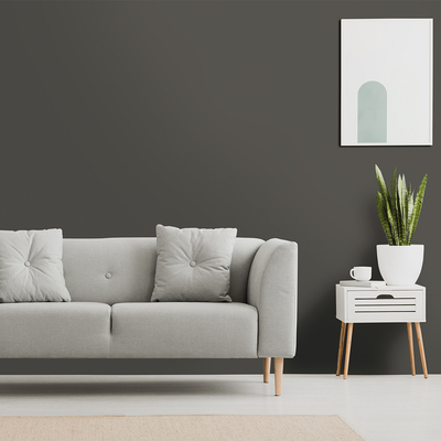 Coala Interior film SOLID COLOR NE82 - Super matt fossil grey 1220 mm