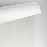 Conqueror Laid high white 220g/m2 720x1020 SB