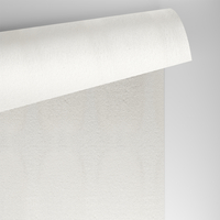 Conqueror Laid oyster 160g/m2 720x1020 SB