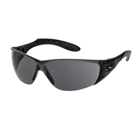 Lunettes de protection Artispec 120, noir/smoke