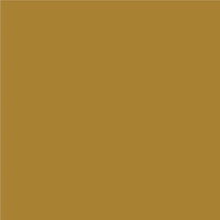 898 Bright Gold Metallic