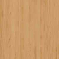 Coala Interior film WOOD B3 - Light Beech 1220 mm