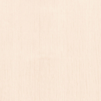 Coala Interior film WOOD CT18 - White Birch 1220 mm