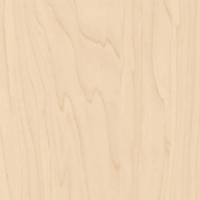 Coala Interior film WOOD CT19 - Gold And White Birch 1220 mm