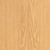 Coala Interior film WOOD CT87 - Medium Unstructured Beige Wood 1220 mm