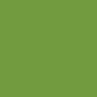 Coala Interior film SOLID COLOR M5 - Poison Green 1220 mm