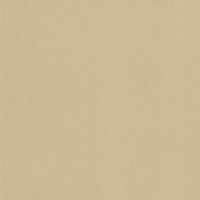 Coala Interior film LEATHER NE42 - Caramel Leather 1220 mm