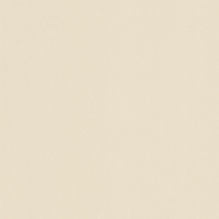 Coala Interior film LEATHER NE43 - Light Cream Leather Mat 1220 mm
