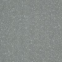 Coala Interior film NATURAL STONE NG02 SPOTTED CEMENT GREY 1220 mm