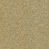 Coala Interior film GLITTER R19 CHAMPAGNE 1220 mm