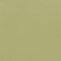 Coala Interior film SOLID COLOR RM19 - Light Olive Grain 1220 mm