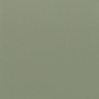Coala Interior film SOLID COLOR RM20 - Olive Green 1220 mm