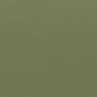 Coala Interior film SOLID COLOR RM21 - Army Green 1220 mm