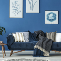 Coala Photo Gloss 240 application