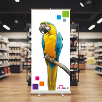 Coala Roll-Up PET S blanc 1270mm