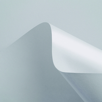 Curious Matter Goya White feuilles Surface