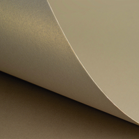 Curious Metallics Champagne 300g/m2 720x1020 BE