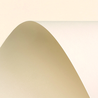 Curious Metallics Cryogen White 300g/m2 720x1020 BE