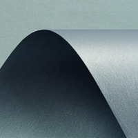 Curious Metallics Galvanised 120g/m2 720x1020 BE