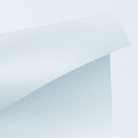 Curious Metallics Ice Silver 120g/m2 720x1020 BE