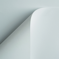 Curious Skin extra white 270g/m2 700x1000 SB