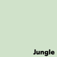Image Coloraction Jungle/hellgrün  80g/m2 450x640 SB