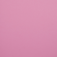 Falkenkarton rose