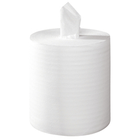 Rouleaux de papier essuie-tout Midi, 100 % cellulose, deux couches, 200 mm x 150 m, 600 feuilles | Antalis CH