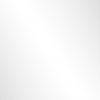 Coala FOLIO Polyester, brillant, transparent, 25µm, 700 x 1000mm, sans refente