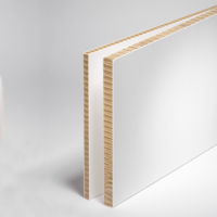Swedboard  blanc 10mm, 1600x3200mm