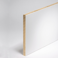 Swedboard  blanc 16mm, 2030x3050mm