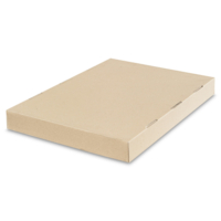 Tyvek 1073D Classic blanc 75 g/m2 320x460