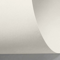 Rives 653 natural white 350g/m2 700x1000 SB