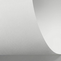 Rives 658 bright white 320g/m2 700x1000 SB
